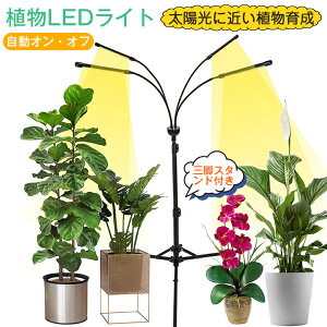 y4wbhtzA琬Cg LED X^h Or ^C}[ A琬LED usb ϗtA琬Cg A琬 \[[ led A琬Cg tXyNg 10Ki80LEDv z 