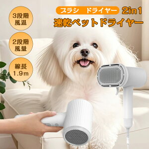 y12 zybghC[  L ɂȂ ybguV vbV XbJ[uV ʕt  L Č ю suV hC[uV ubVO ъ Z  h