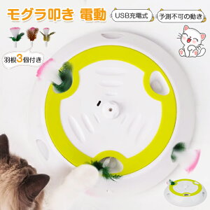 _20%OFFN[|OFFEO@^L  lV d  @ L炵 H USB[d L ߋ lR  Ꭹ m XgX ObY ˂炵 VԔ 