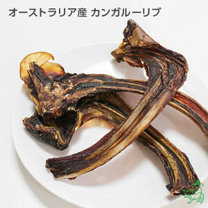   Y ΂獜 W[L[ CIX}C hbOt[h hbNt[h p Y f^PA  yCIX}C / iliosmilezI[XgAY JK[