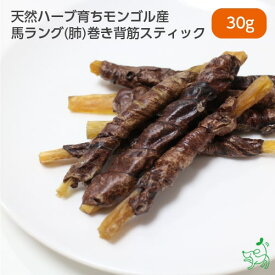 犬 おやつ 無添加 国産 馬肉 ドッグフード ドックフード ペットフード デンタルケア プレゼント お試し 犬用 dog 子犬 【イリオスマイル / iliosmile】天然ハーブ育ちモンゴル産馬ラング(肺)巻き背筋スティック 30g