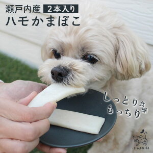 yY Yz˓Y n܂ڂ 2{ gg EFbgt[h   AM[ AQ  IK3 gbsO g[c p Lp ybg ^ ^ ^ 