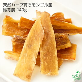 犬 おやつ 無添加 馬肉 犬用 関節 硬い 歯石 歯磨き 歯みがき ガム デンタルガム 歯磨きガム デンタルケア ドッグフード ペットフード ペット dog 大型犬 【イリオスマイル / iliosmile】天然ハーブ育ちモンゴル産 馬背筋 140g