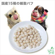 【当店初利用5%OFFクーポン】犬 おやつ 無添加 国産 腸 無着色 ビタミン ミネラル 手作りごはん ドッグフ…