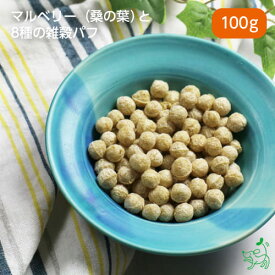 【10%OFFクーポン！マラソン限定】国産 無添加 国産マルベリーと8種の雑穀パフ 100g マルベリー入り 不足がちなビタミン・ミネラルをごはんから 手作りごはん ドッグフード イリオスマイル iliosmile 胚芽押麦 黒豆 小豆 高きび ひえ