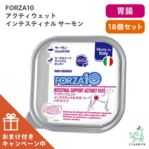 【まとめ買い(17個+おまけ1個)】FORZA10 フォルツァディエチ インテスティナル サーモン アクティウェット 胃腸ケア 100g フォルツァ10 療法食 犬用 ドッグフード イリオスマイル