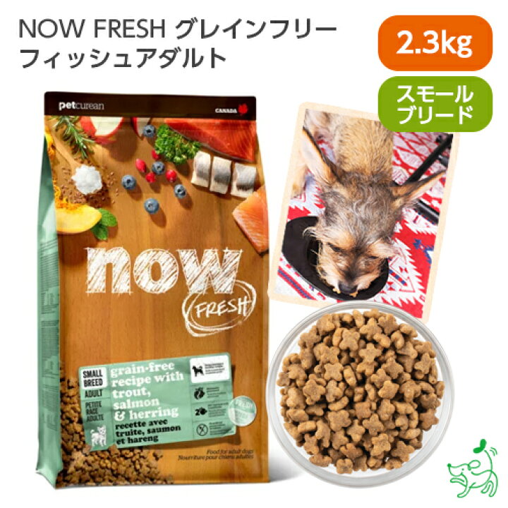 楽天市場】ナウ フレッシュ NOW FRESH グレインフリー スモール 