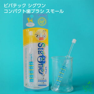 roebN VO RpNguV X[ p ݂  f^PA    PA uV ^  f^PA ȒP ݂͂ C ΂