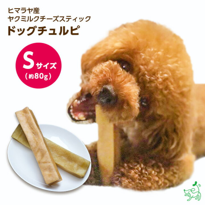 楽天市場 無添加 ヒマラヤ産 ヤクミルクチーズスティック ドッグチュルピ Sサイズ 約70 90g 犬 おやつ チーズ 硬い 固い 長持ち 歯石ケア 歯磨き 歯みがき ガム デンタルガム デンタルケア ドッグフード ドックフード ペットフード 小型犬 中型犬 大型犬