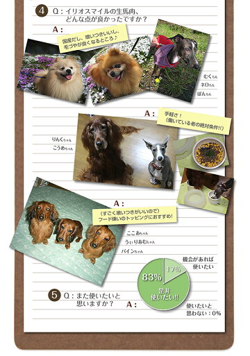 楽天市場 熊本直送 犬用新鮮生馬肉パラパラミンチ 300g 3袋 2セット目から送料無料 クール代無料 北海道 沖縄 離島別 冷凍ミンチ 生肉 生食 馬刺し 他商品との同梱はできません ドッグフード ドックフード イリオスマイル 犬用自然派おやつ専門店iliosmile