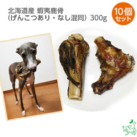 まとめ買い 犬 おやつ 鹿肉 国産 無添加 北海道産 蝦夷鹿骨(げんこつあり・なし混同)x10個 蝦夷鹿 骨 げんこつ 鹿 えぞ鹿 ドッグフード 低アレルゲン アレルギー 硬い 犬用 dog 犬のおやつ 子犬 成犬 小型犬 大型犬 イリオスマイル