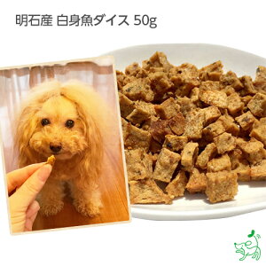 yVKN[|5OFFz  Y _CX   hbOt[h hbNt[h p Y f^PA Y yCIX}C / iliosmilezΎY g_C