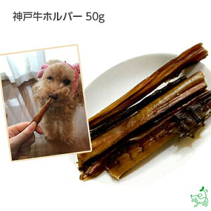 yVKN[|5OFFz  Y hbOt[h hbNt[h p Y f^PA  Y g[jO h{_ ^pN J[yCIX}C / il