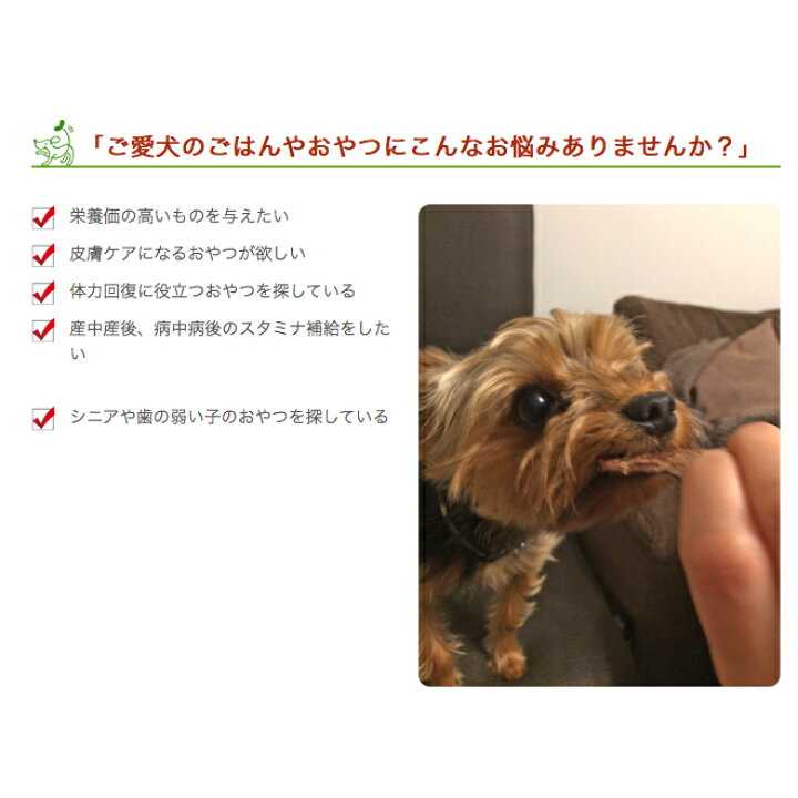 楽天市場 国産 無添加 神戸ポーク 豚肺 ラング 50g イリオスマイル ドッグフード ドックフード 犬用おやつ 犬 おやつ 無添加おやつ 犬 用自然派おやつ専門店iliosmile