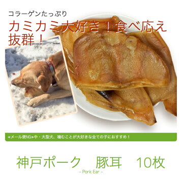 楽天市場 犬 おやつ 無添加 国産 神戸ポーク 豚耳 姿 10枚 犬用 豚 耳 関節 硬い 歯石 歯磨き 歯みがき ガム デンタルガム 歯磨きガム デンタルケア コラーゲン ヒアルロン酸 ペット 犬用 Dog 大型犬 無添加おやつ イリオスマイル 犬用自然派おやつ専門店iliosmile