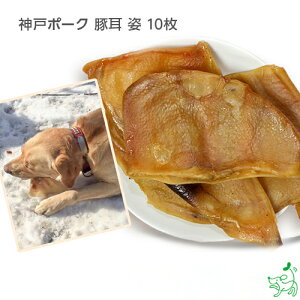大型 犬 歯磨き ドッグフードの人気商品 通販 価格比較 価格 Com