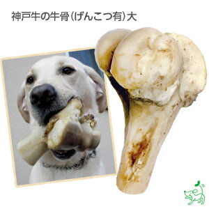 犬 歯磨き 無添加 ドッグフードの人気商品 通販 価格比較 価格 Com