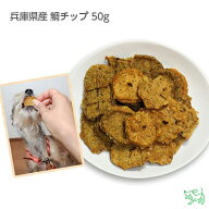 【当店初利用5%OFFクーポン】犬 おやつ 無添加 国産 犬用おやつ 無添加おやつ 国産おやつ 魚 低アレルゲ…