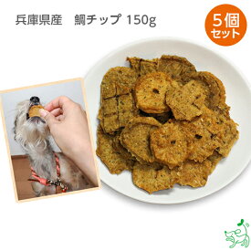 楽天市場 魚 チップの通販