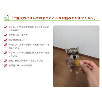 楽天市場 魚 鯛チップ 150g 犬用自然派おやつ専門店iliosmile