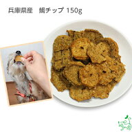 【当店初利用5%OFFクーポン】犬 おやつ 無添加 国産 犬用おやつ 無添加おやつ 国産おやつ 魚 低アレルゲ…