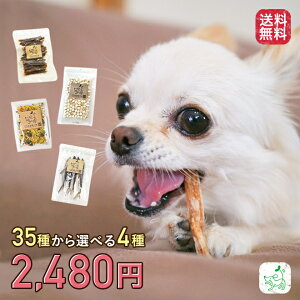 ジャーキー セット ペットの通販 価格比較 価格 Com