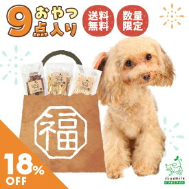 【送料無料18%OFF!!】犬 おやつ 無添加 数量限定 9点詰め合わせ サマーバッグ お試し アソート プレゼント ギフト 人気 【イリオスマイル / iliosmile】【送料無料】夏の福袋「サンキューバッグ」