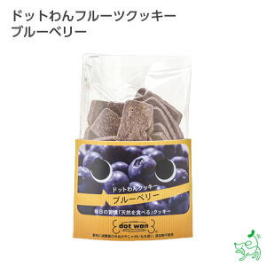 y11/15聚|Cg2{z  Y p Y yCIX}C / iliosmilezhbgt[cNbL[ u[x[