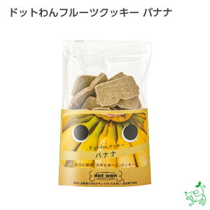   Y p Y yCIX}C / iliosmilezhbgt[cNbL[ oii