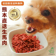 【初回限定】犬 馬肉 無添加 送料無料 熊本直送 犬用生馬肉 ペット 犬用 冷凍ミンチ 生肉 生食 ローフー…