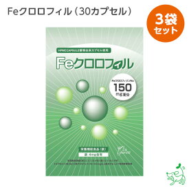 ネコポス送料無料 消臭サプリ Feクロロフィル（30カプセル）×3袋 体の臭い 口の臭い 加齢臭 FeクロロフィリンNa 食物繊維 イヌリン配合