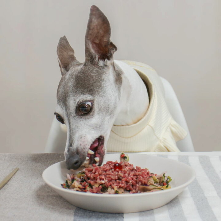 楽天市場】犬 野菜 国産 無添加 犬用野菜 乾燥野菜 野菜 九州産 10種の 