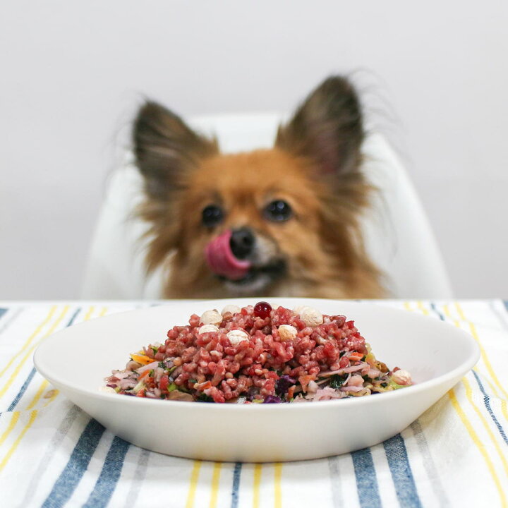 楽天市場】犬 野菜 国産 無添加 犬用野菜 乾燥野菜 野菜 九州産 10種の 