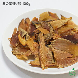 Y̌ 100g  p    TP T[ ቖ  AM[ f^PA hbOt[h CIX}C