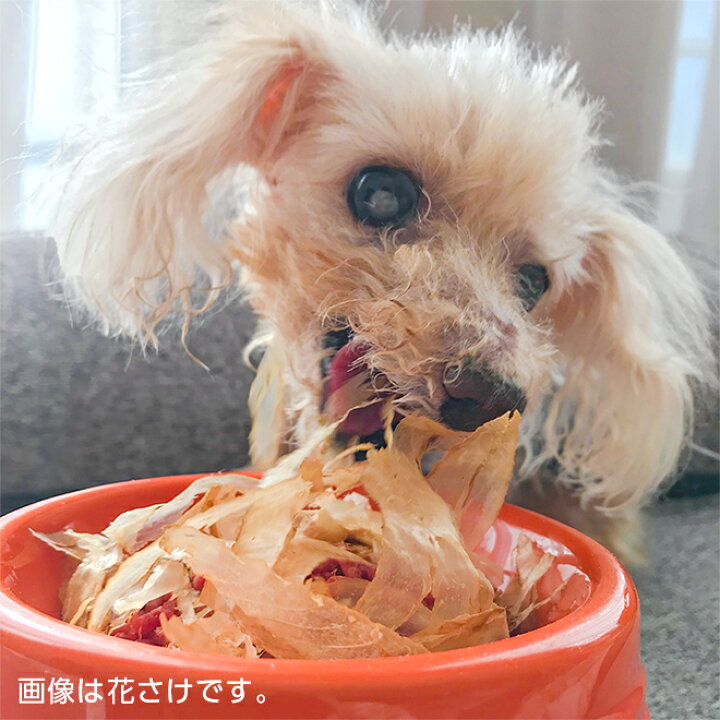 楽天市場 国産 無添加 花かつお 薄削り 30g 犬 犬用 おやつ 魚 鰹 カツオ 低塩 減塩 アレルギー デンタルケア ドッグフード イリオスマイル 犬用自然派おやつ専門店iliosmile 楽天市場 国産 無添加 花かつお 薄削り 30g 犬 犬用 おやつ 魚 鰹 カツオ 低塩 減塩 アレルギー デンタルケア ドッグフード イリオスマイル 犬用自然派おやつ専門店iliosmile