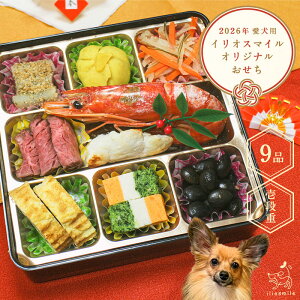 y+܂tz p    9i ybgp  lC  Y hbOt[h yCIX}C / iliosmilezpIWi2026 i^Cv S9i12/2