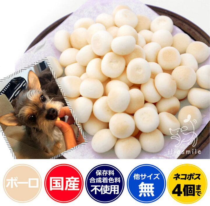 楽天市場 定期購入 国産 ヤギミルクボーロ やぎミルク 山羊ミルク ドッグフード ドックフード 犬用おやつ 犬用 自然派おやつ ボーロ イリオスマイル 犬用自然派おやつ専門店iliosmile