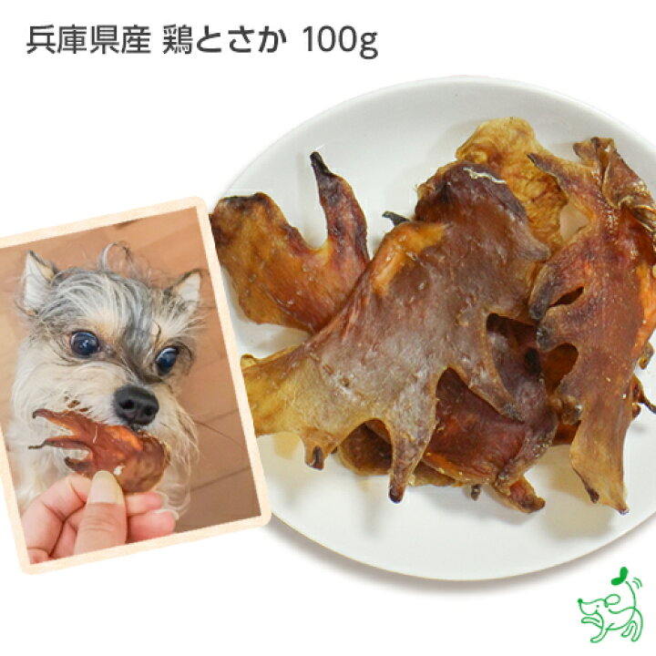 楽天市場 犬 おやつ 無添加 国産 兵庫県産 鶏とさか 100g 犬用 とさか 関節 歯磨き 歯みがき ガム デンタルガム 歯磨きガム デンタルケア ドッグフード ペットフード コラーゲン ペット 大袋 犬用 Dog 小型犬 大型犬 犬のおやつ イリオスマイル 犬用自然派おやつ