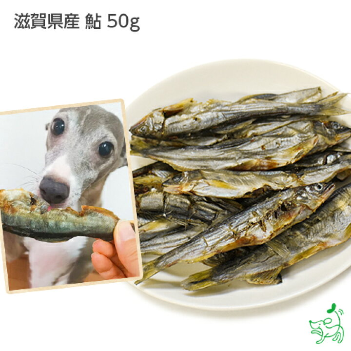 楽天市場】【国産 無添加】滋賀県産 鮎 50g | 犬 犬用 おやつ 魚 あゆ アレルギー ドッグフード イリオスマイル : 犬用自然派おやつ 専門店iliosmile 楽天市場】【国産 無添加】滋賀県産 鮎 50g | 犬 犬用 おやつ 魚 あゆ アレルギー ドッグフード イリオスマイル : 犬用自然派おやつ 専門店iliosmile