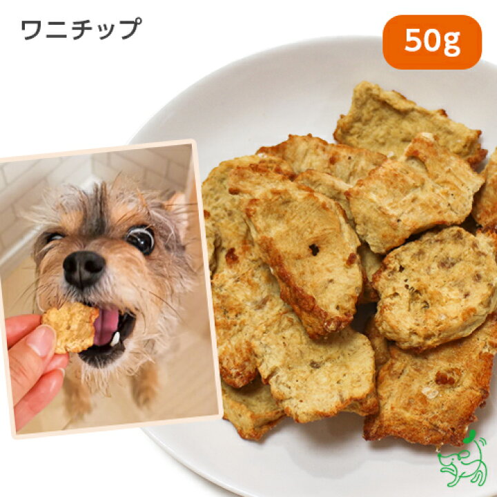 楽天市場 無添加 ワニチップ 50g 犬 犬用 おやつ 高タンパク 低カロリー アレルギー ドッグフード イリオスマイル 犬用自然派おやつ 専門店iliosmile