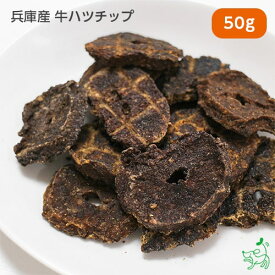 犬 おやつ 無添加 国産 ドッグフード ドックフード ペットフード チップス トレーニング プレゼント お試し 犬用 dog 【イリオスマイル / iliosmile】兵庫産 牛ハツチップ 50g