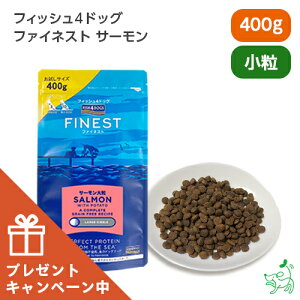 yʌ肨܂tztBbV4hbO FISH4DOGS t@ClXg T[  400g yCIX}C / iliosmilez hbOt[h hbNt[h OCt[  TP AX^LT` IK3