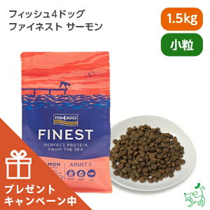 yʌ肨܂tztBbV4hbO FISH4DOGS t@ClXg T[  1.5kg yCIX}C / iliosmilez hbOt[h hbNt[h OCt[  TP AX^LT` IK