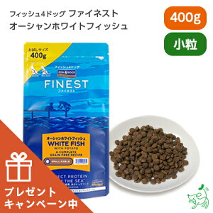 yʌ肨܂tztBbV4hbO FISH4DOGS t@ClXg I[VzCgtBbV  400g yCIX}C / iliosmilez hbOt[h hbNt[h OCt[