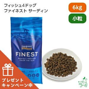 yʌ肨܂tztBbV4hbO FISH4DOGS t@ClXg T[fBiCVj  6kg yCIX}C / iliosmilez hbOt[h hbNt[h OCt[