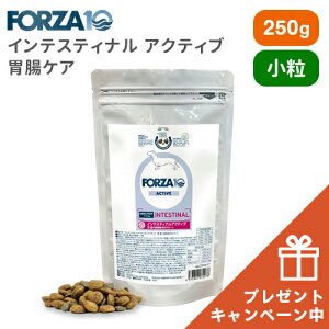 yVKN[|5OFFzyʌ肨܂tzFORZA10 tHc@fBG` CeXeBi ANeBu ~j ݒPA@250g tHc@10 Ö@H p hbOt[h CIX}C