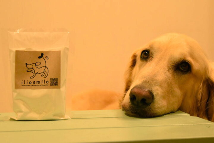 楽天市場 犬用 米粉 ナチュラルパンケーキミックス 150g 犬 ケーキ 犬 ケーキ 誕生日 犬 ケーキ 似顔絵 バースデーケーキ クリスマスケーキ ハロウィン 手作りケーキ 手作りおやつ 手作りごはん 時短 イリオスマイル 犬用自然派おやつ専門店iliosmile