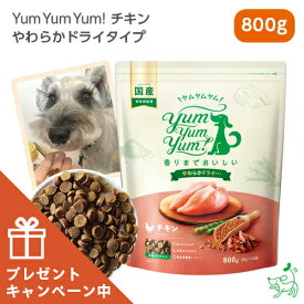 【当店初利用5%OFFクーポン】【数量限定おまけ付】Yum Yum Yum!（ヤムヤムヤム） チキン やわらかドライタイプ 800g(80g×10) 犬 犬用 ドッグフード 国産ドッグフード セミモイスト ペットフード ナチュラルフード イリオスマイル