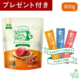 Yum Yum Yum!（ヤムヤムヤム） 馬肉 やわらかドライタイプ 800g(80g×10) 犬 犬用 ドッグフード 国産ドッグフード ペットフード ナチュラルフード イリオスマイル