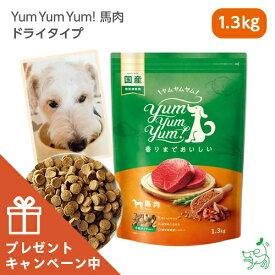 【当店初利用5%OFFクーポン】【数量限定おまけ付】Yum Yum Yum!（ヤムヤムヤム） 犬 犬用 ドッグフード 国産ドッグフード 【イリオスマイル / iliosmile】Yum Yum Yum! ヤムヤムヤム馬肉 ドライタイプ 1.3kg